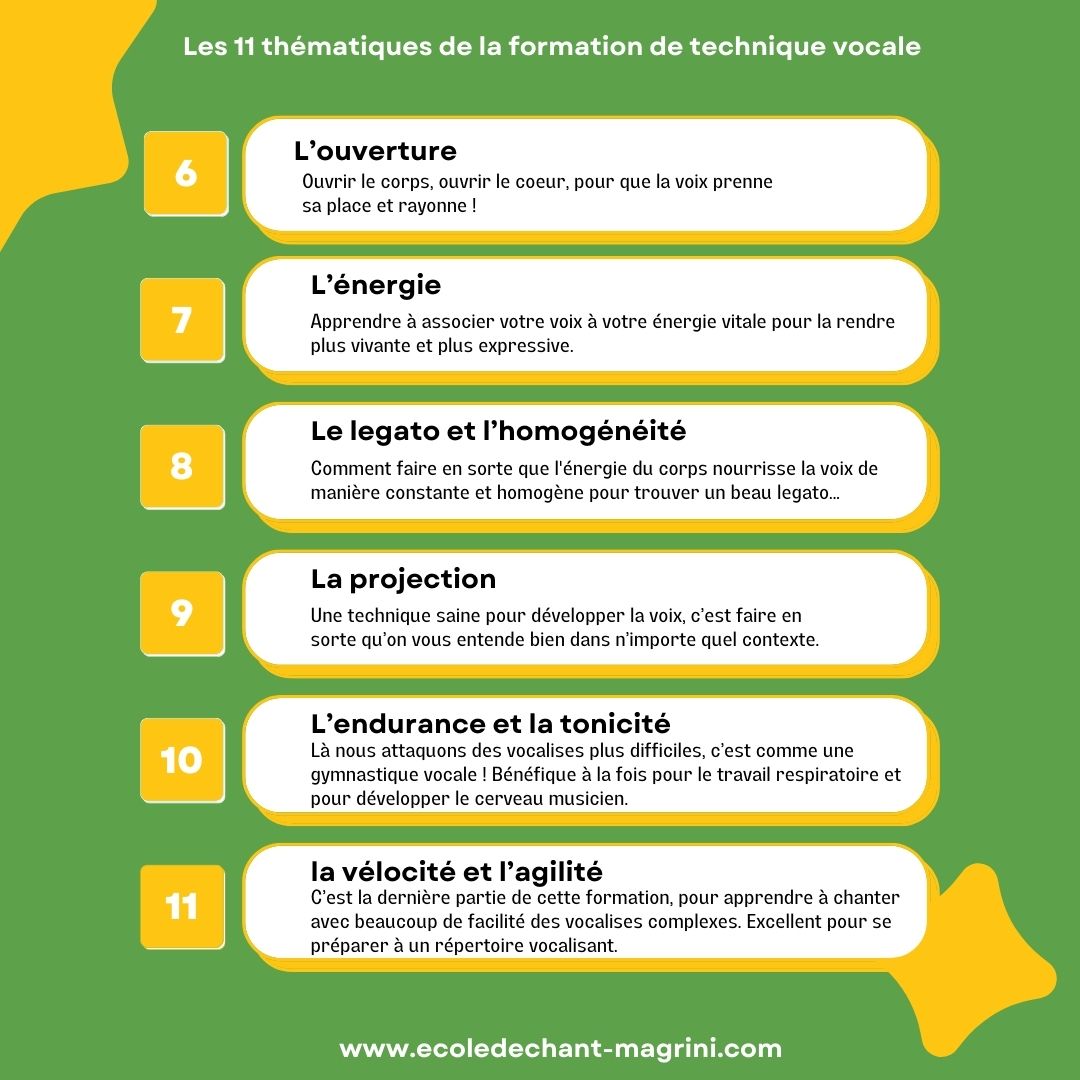 Formation de technique vocal en ligne