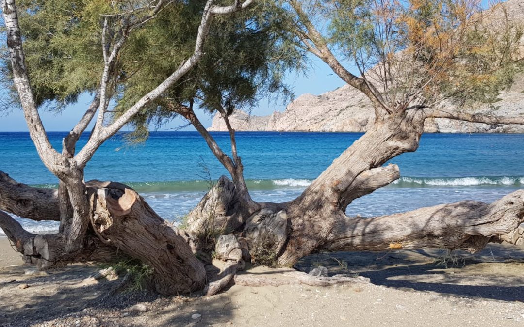 Stage de chant et bien-être en Grèce Oct 2019